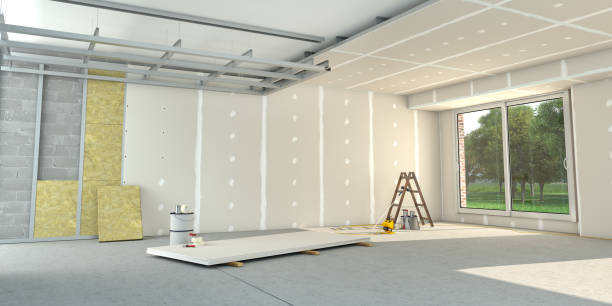 Best Professional Insulation Contractor  in Hamlin, TX
