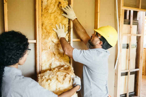 Professional Insulation Contractor in Hamlin, TX